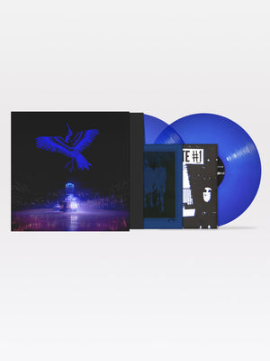 Kite on Ice 2x12" Bundle: Vinyl (transparent blue), zine
