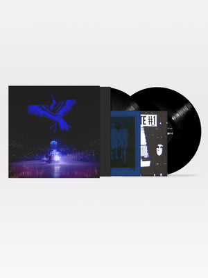 Kite on Ice 2x12" Bundle: Vinyl (black), zine